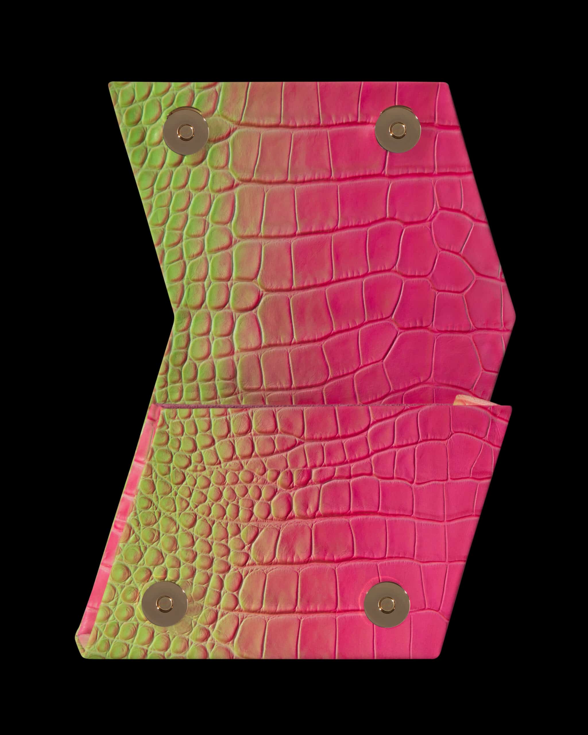 DRAGON FRUIT8792_1