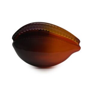 ORANGE/VIOLET COWRIE SHELL