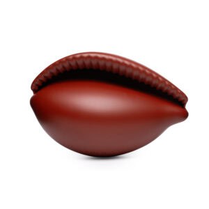 RED COWRIE SHELL