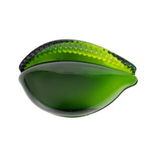 GREEN COWRIE SHELL